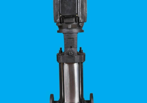 vanora pumps